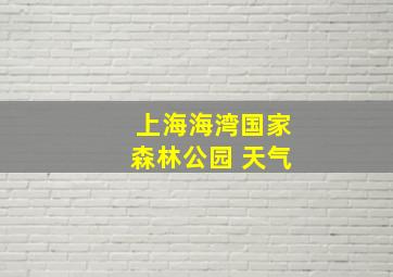 上海海湾国家森林公园 天气